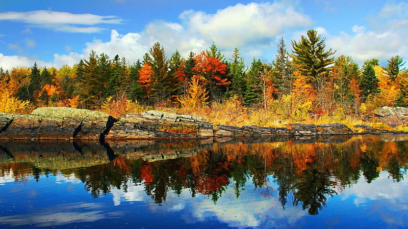 Jay Cooke State Park, Minnesota, reflections, fall, autumn, trees, colors, water, usa, HD wallpaper