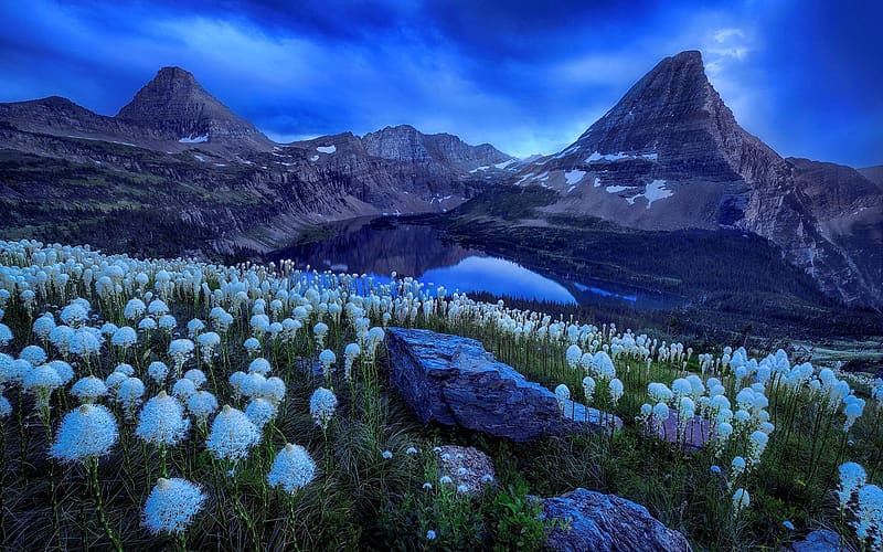 Hidden lake, meadow, sky, rocks, peak, lake, mountain, blue, beautiful, stones, wildflowers, HD wallpaper