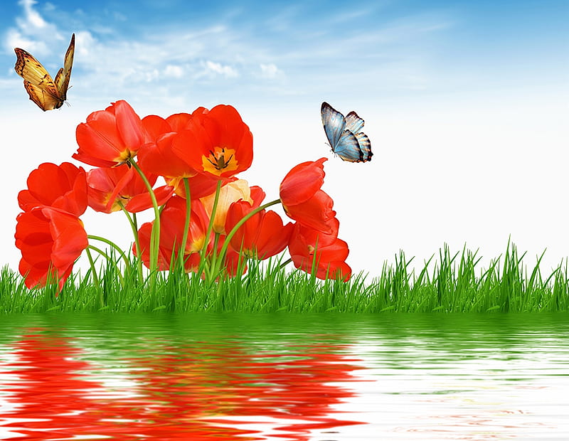 Naturaleza primaveral, agua, mariposas, flores, hierba, Fondo de pantalla HD | Peakpx Naturaleza primaveral, agua, mariposas, flores, hierba, Fondo de pantalla HD | Peakpx