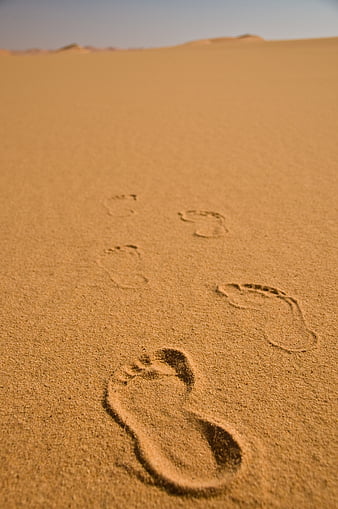 Beach, ocean, silhouette, sand, haze, horizon, HD phone wallpaper | Peakpx