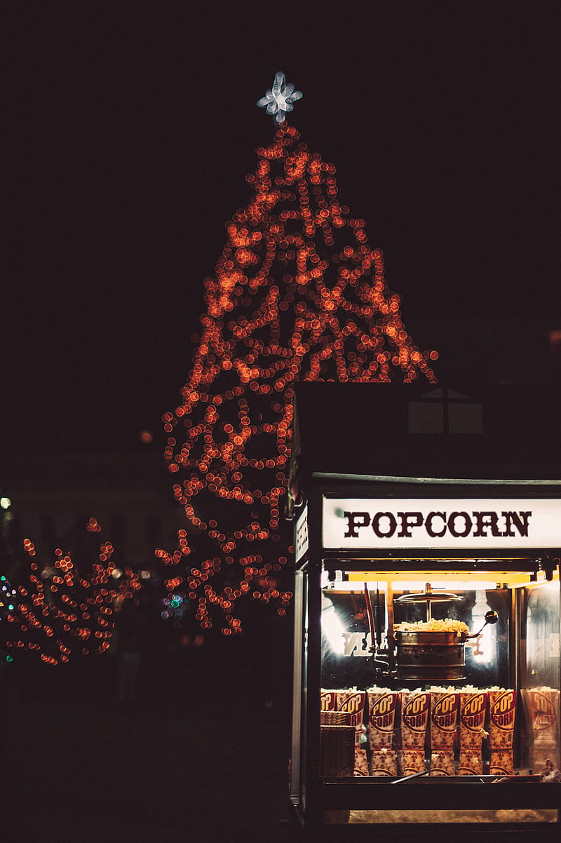 popcorn, glare, bokeh, christmas, new year, tree, winter, HD phone wallpaper