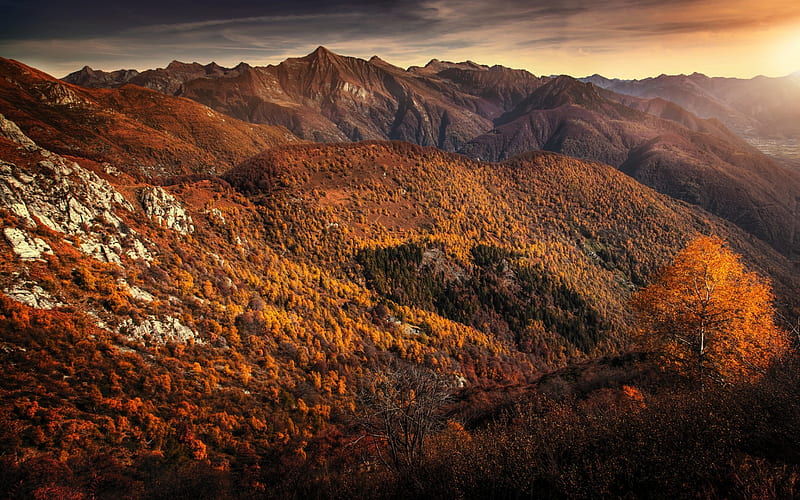 autumn, mountain landscape, sunset, yellow trees, autumn landscape, Canada, HD wallpaper