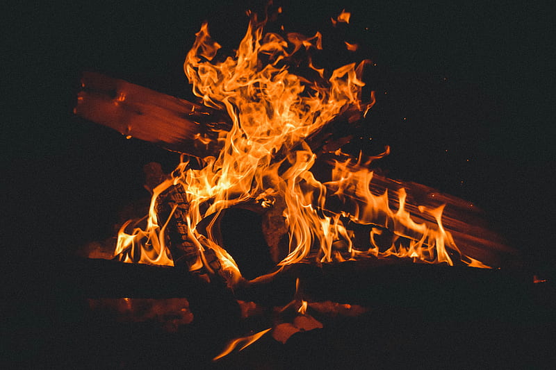 fire, bonfire, firewood, flame, dark, burning, HD wallpaper