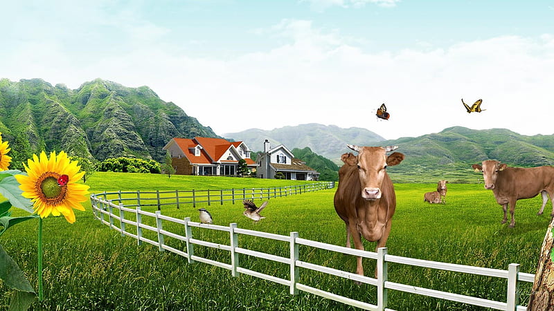 Best Easter Wishes To Elaine (CollieSmile), fence, house, birds, sunflower, butterflies, cows, meadow, HD wallpaper