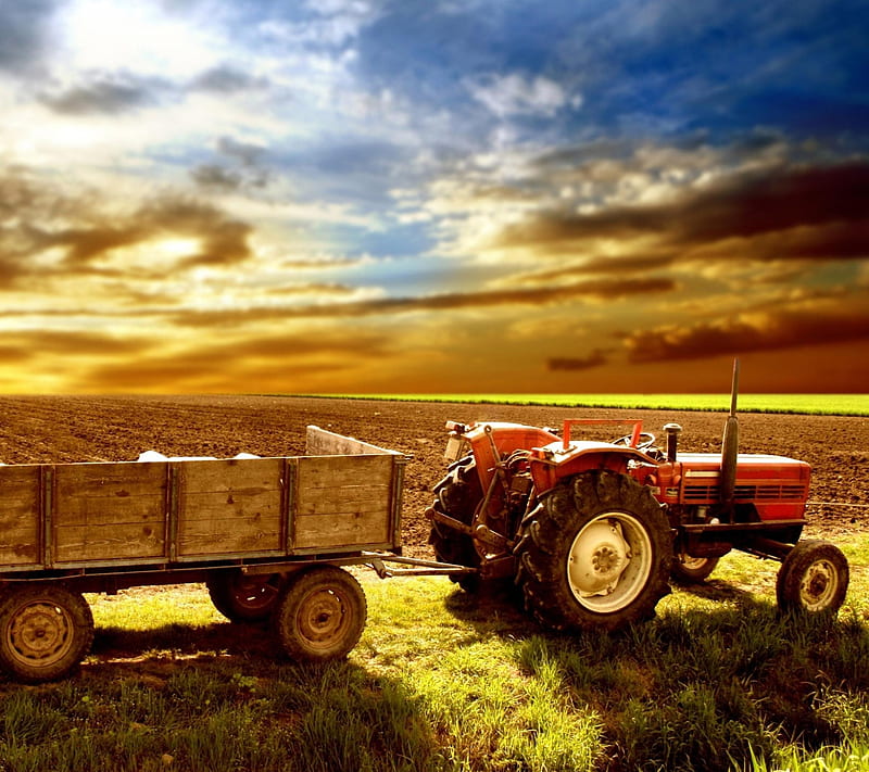 Tractor, farm, field, HD wallpaper