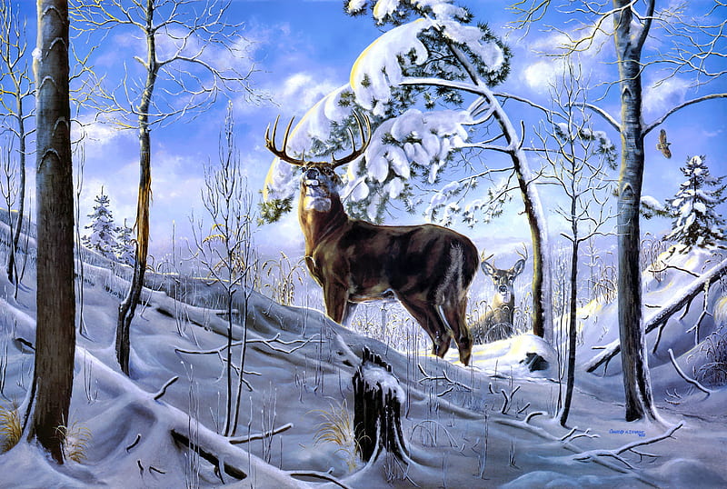 Appalachian High, high, Appalachian, roe, winter, deer, couple, art, forest, bonito, snow, painting, HD wallpaper