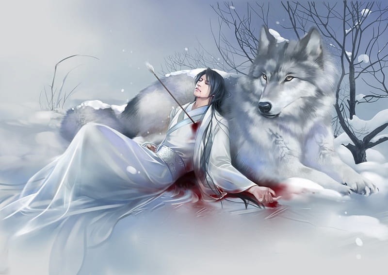 GREY WOLF, male, tree, wounded, snow, gris, wolf, arrow, blood, HD wallpaper