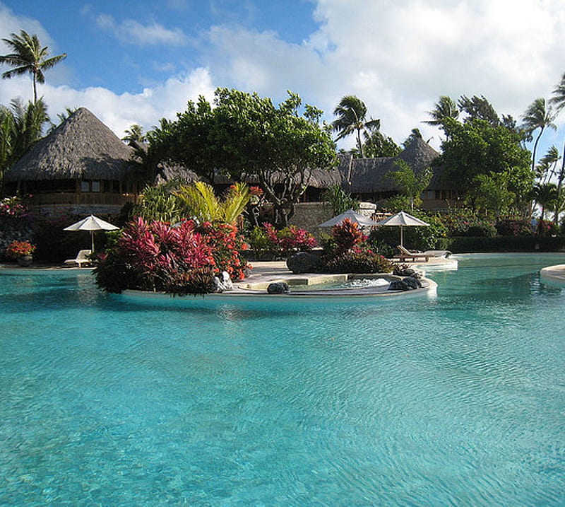 Polynesia Poolside, flowers, palm trees, pool, resort, HD wallpaper