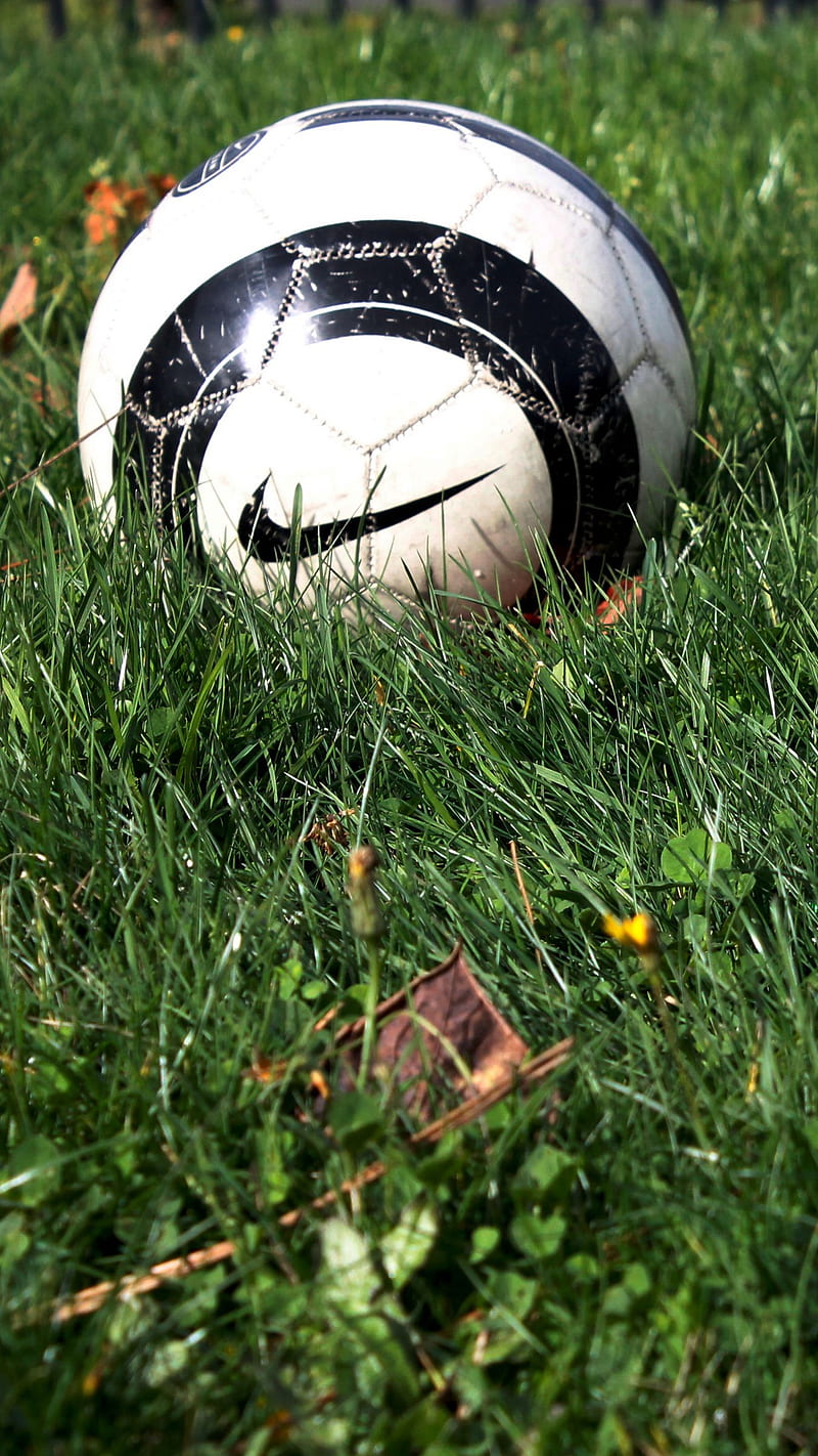 Libro Nuestra compañía Hobart Nike football, ball, balls, football, garden, green, , nature, player,  team, HD phone wallpaper | Peakpx