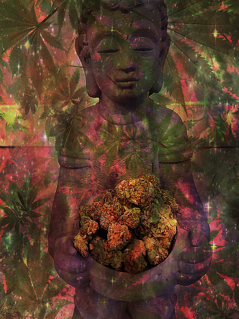 The Gift Herb, cannabis, 420, marijuana, buddha, buds, HD phone wallpaper
