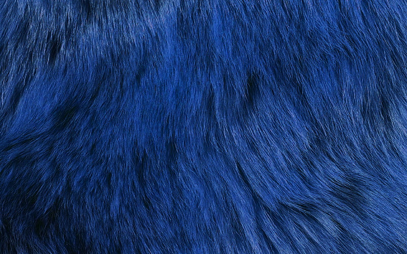 texture, fur, dog, blue, pattern, dark, HD wallpaper