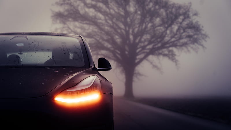 Tesla M3, tesla-model-3, tesla, carros, 2018-cars, HD wallpaper