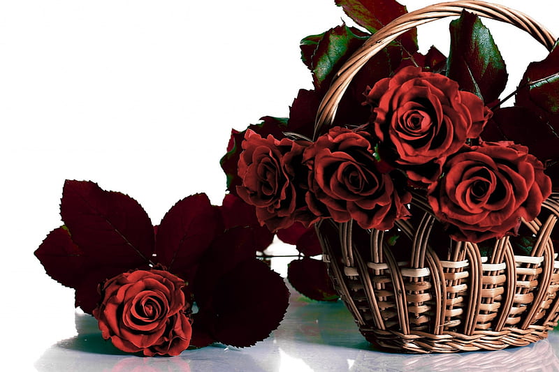 Roses, red, rose, basket, flower, white, card, HD wallpaper | Peakpx
