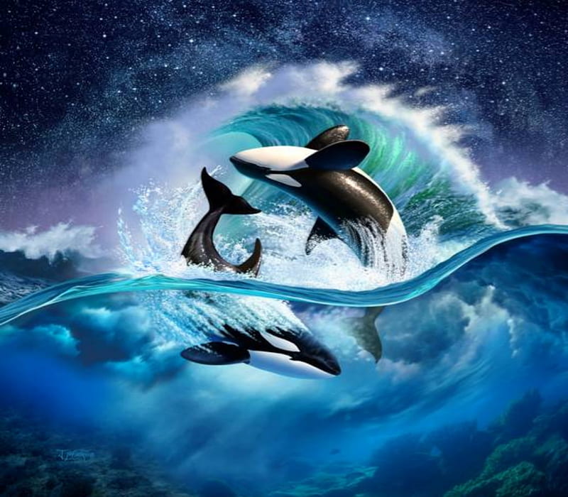 Orca Wave, Water, Underwater, Wave, Orca, Sky, HD wallpaper