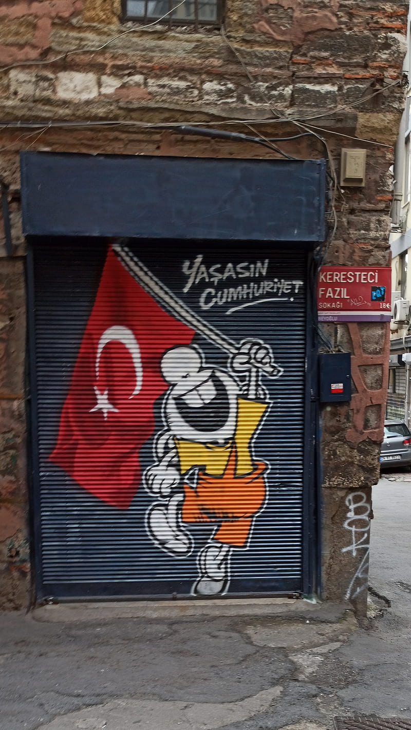 yasasin cumhuriyet, ayyildiz, flag, cumhuriyet, turkiye, HD phone wallpaper