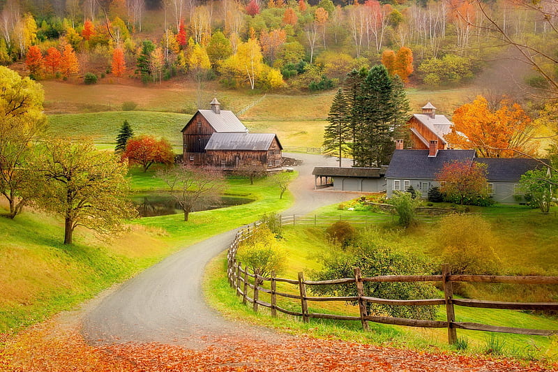 Autumn village, Houses, Trees, Road, Fencing, Forest, HD wallpaper | Peakpx