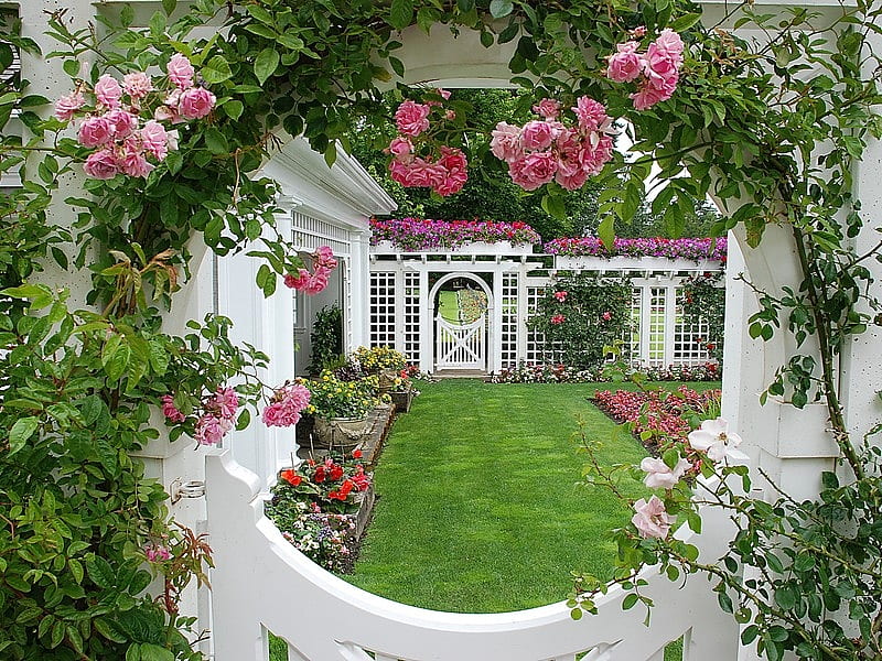 garden rose window, fence, window, rose, botanical, garden, wall, pink, HD wallpaper