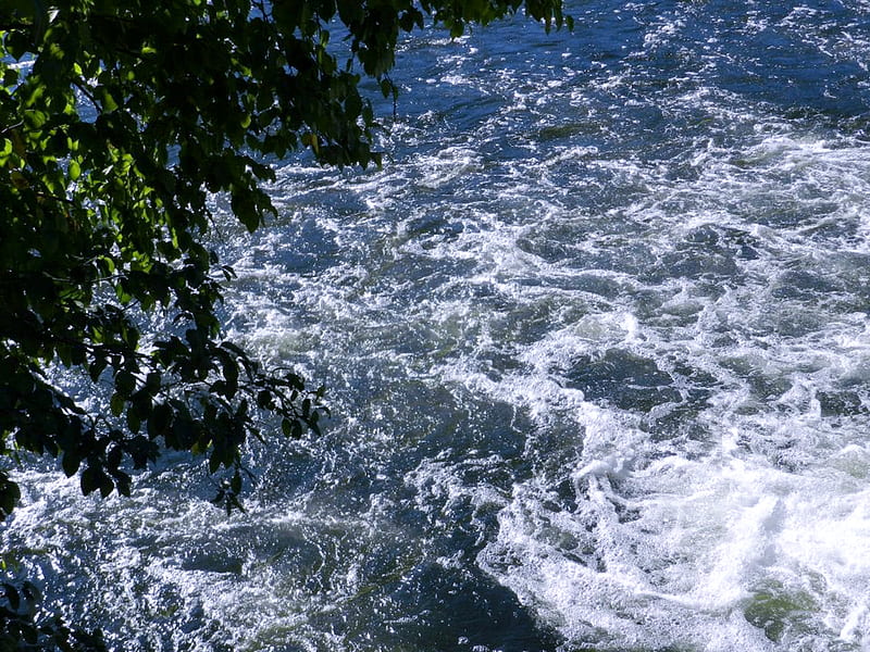 Swift Flowing River, Summer, River, Tree, graphy, Nature, HD wallpaper ...