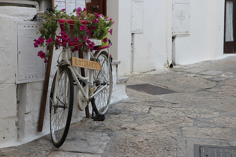 Summer in Puglia, planter, restaurant, cool, graphy, bicycle, flowers, HD wallpaper
