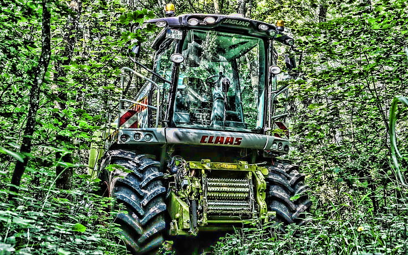 CLAAS Lexion 750, R, combine in forest, abandoned combine, CLAAS, combine-harvester, Lexion 750, agricultural machinery, HD wallpaper