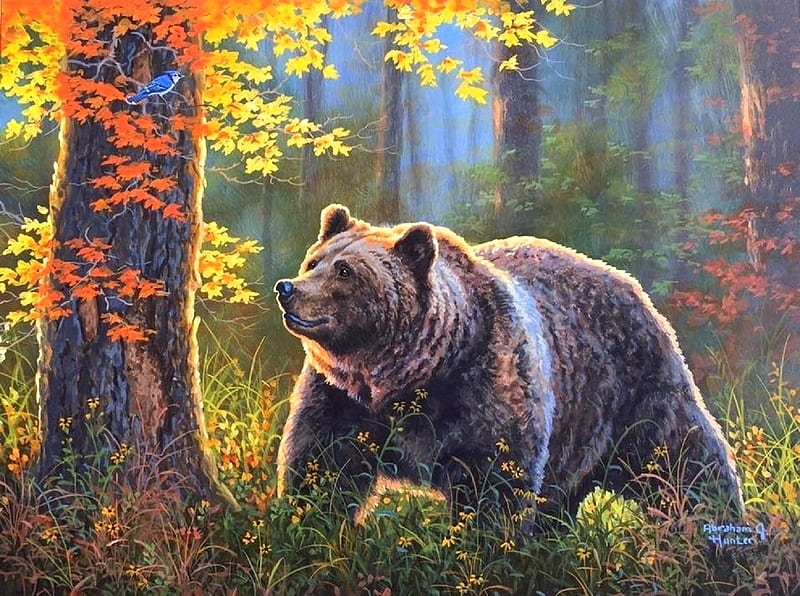 Big Grizzly, love four seasons, bear, attractions in dreams, paintings, bird, summer, nature, forests, grizzly, animals, HD wallpaper