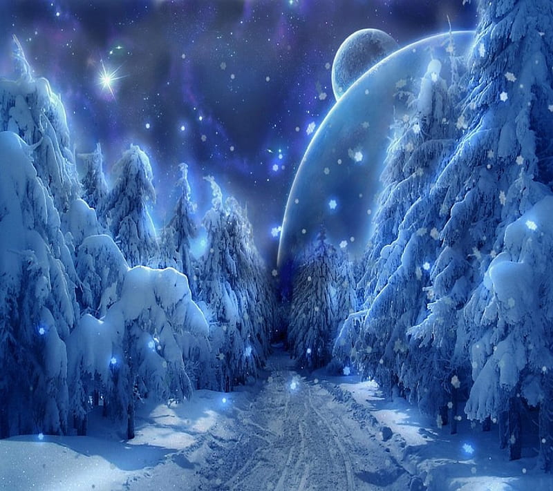 dazzling winter, bonito, christmas, dazzling, snow, winter, HD wallpaper