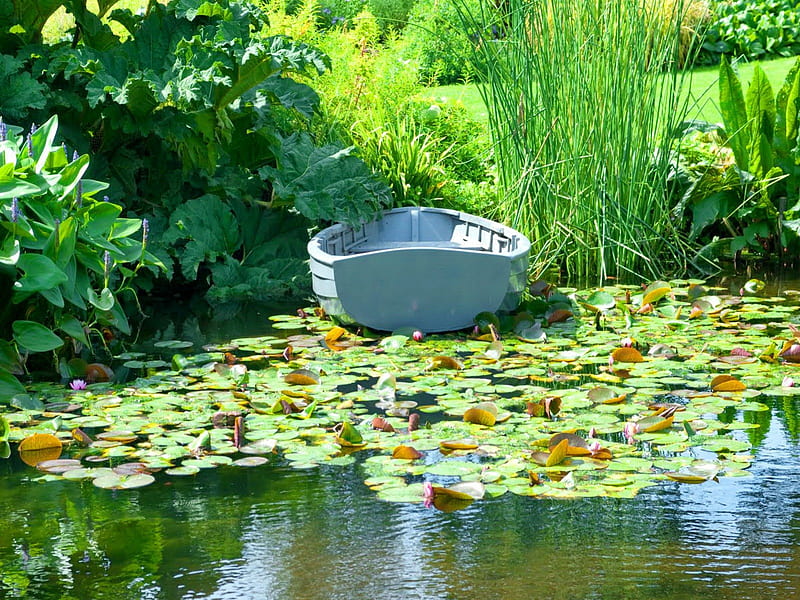 Calm pond, grass, bushes, calm, boat, green, flowers, reflection, calmness, greenery, lilies, park, lake, pond, water, peaceful, summer, garden, nature, HD wallpaper