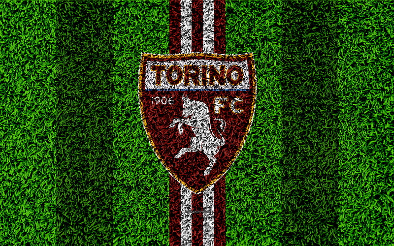 Torino FC logo, football lawn, Italian football club, cinnamon white lines, emblem, grass texture, Serie A, Turin, Italy, football, HD wallpaper