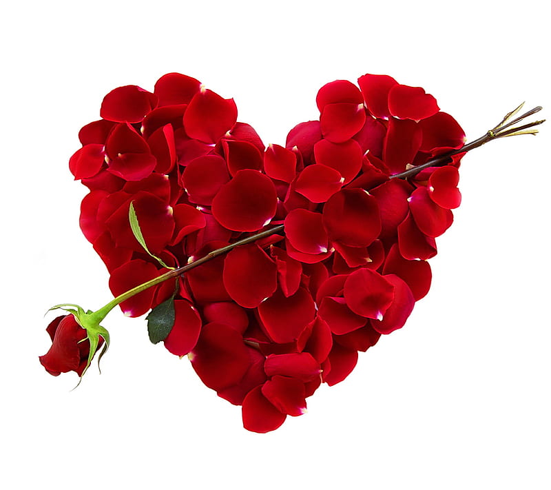 Petal Heart, love, petals, romantic, rose, HD wallpaper