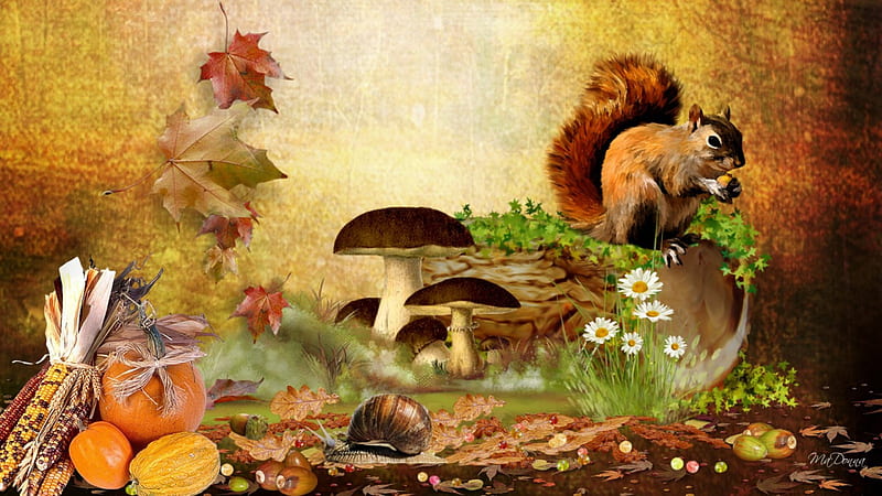 Falls Bounty, fall, toad stools, indian corn, autumn, squirrel, log, pumpkin, flowers, harvest, apples, maple leaves, squash, gourds, daisies, nuts, cute, whimsical, garden, mushrooms, ivy, HD wallpaper