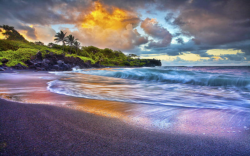 The Rhythm, beach, nature, island, reflection, trees, sky, sea, wave, HD wallpaper