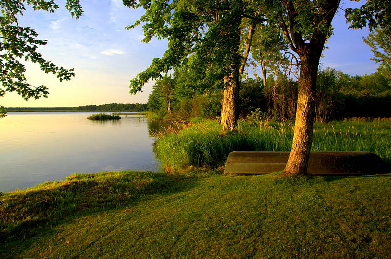 Michigan landscape at lake, lakes, michigan, trees, landscape, HD ...