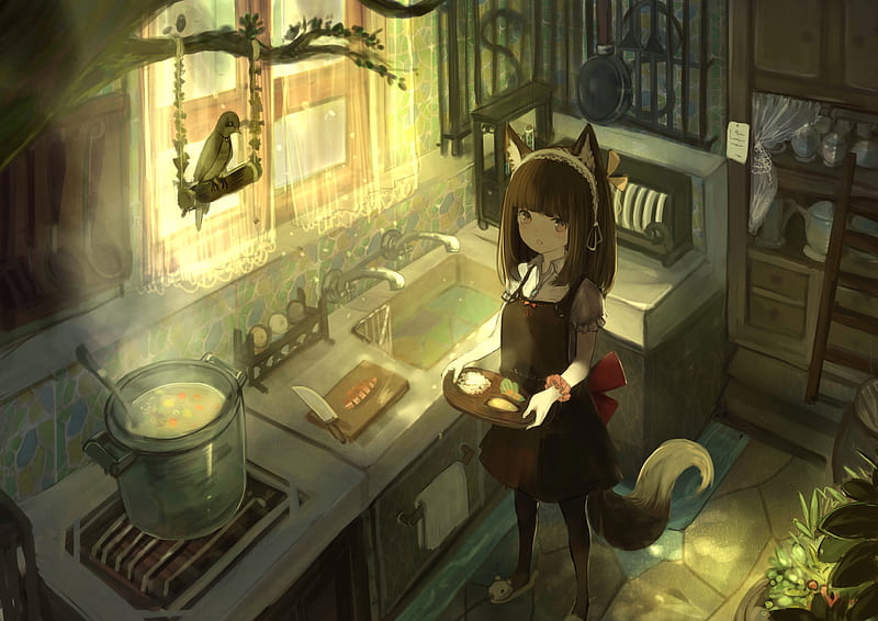 anime fox girl, animal ears, kitchen, cooking, short hair, Anime, HD wallpaper