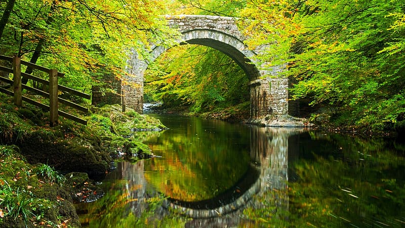 Holn Bridge, the river Dart, Dartmoor, England, reflections, spring, trees, water, HD wallpaper