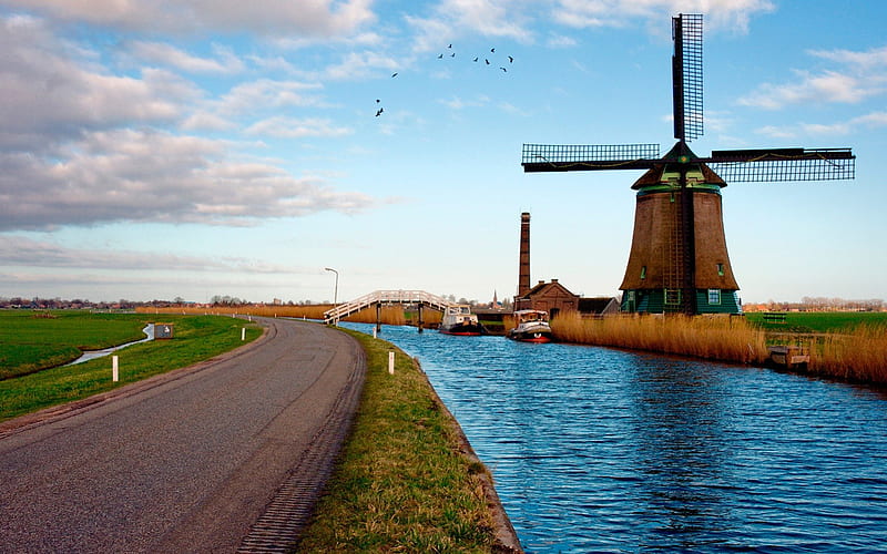windmills, koog aan de zaan, mills, holland, wind, HD wallpaper