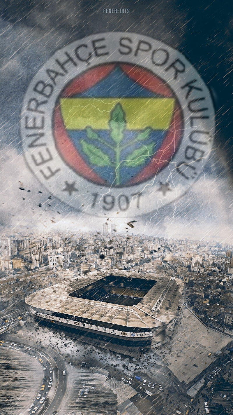 Fenerbahce, team, football, logo, saracaoglu, fener, sport, flama, turkiye, istanbul, HD phone wallpaper