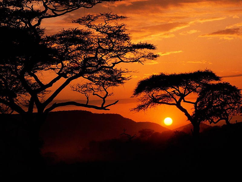 Sunset in Tanzania, tanzania sun, national, sunset, clouds, africa, serengeti shadows, graph silhouettes, park, sky, wall, trees, nature, HD wallpaper