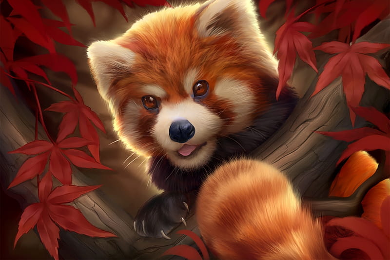 Panda rojo, rojo, otoño, luminos, naranja, hoja, animal, fantasía, fantasma  estático, Fondo de pantalla HD | Peakpx