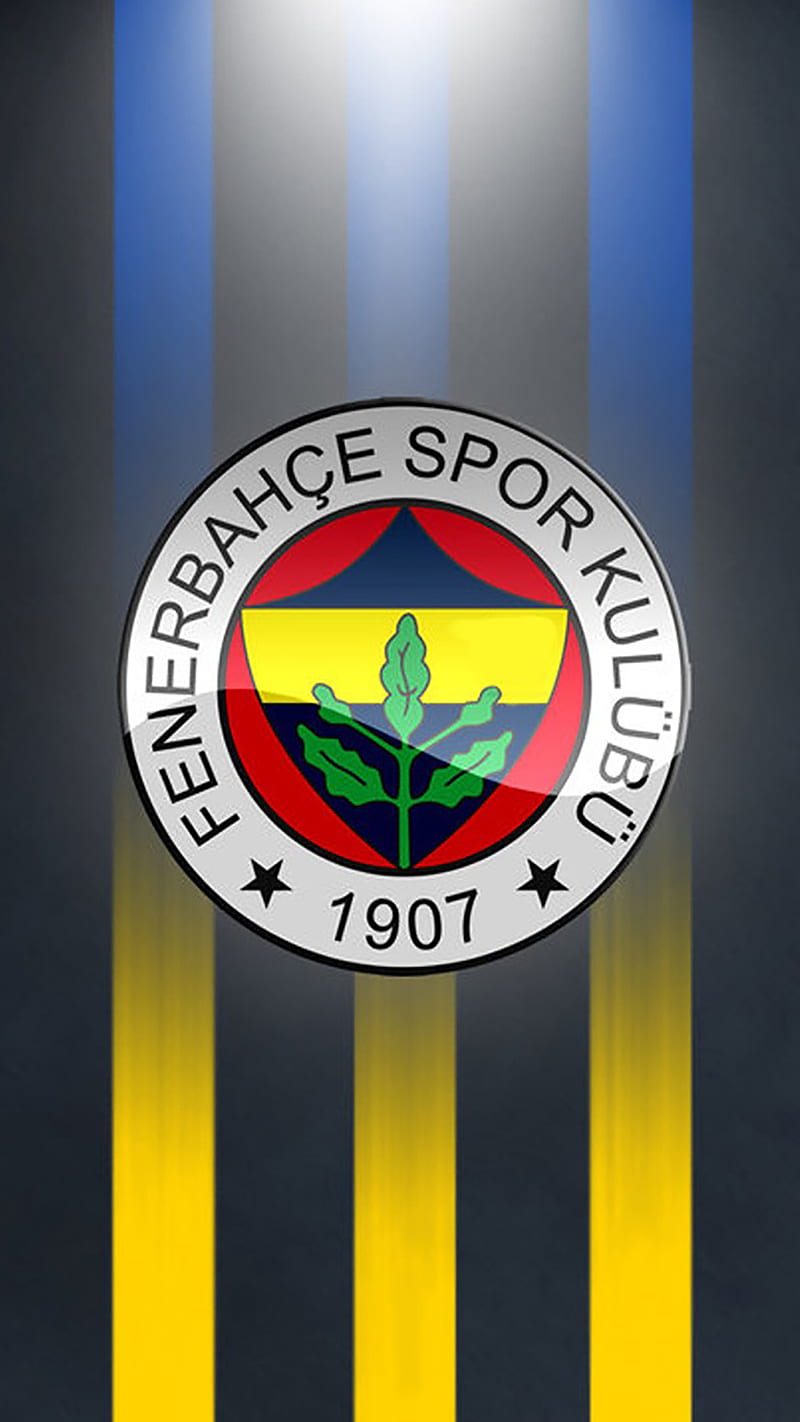 Fenerbahce, fifa, football, soccer, sport, turkey, uefa, HD phone wallpaper