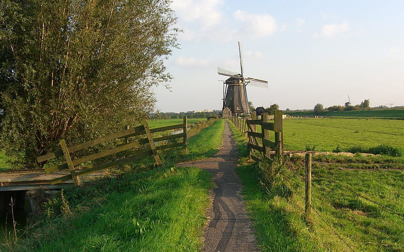 Green farmland in Rotterdam, countryside, farm, netherlands, windmill, footpath, green grass, rotterdam, landscape, HD wallpaper