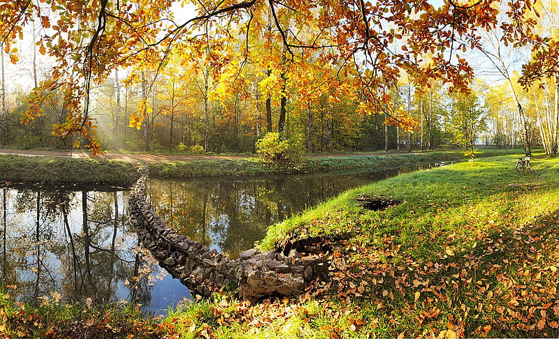 Парк Сокольники Осенью Фото