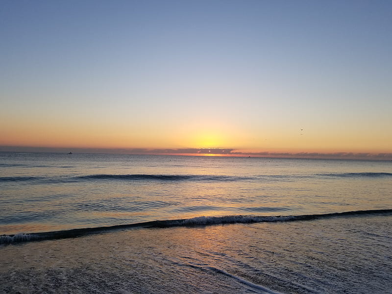 Sunrise, beach, florida, HD wallpaper