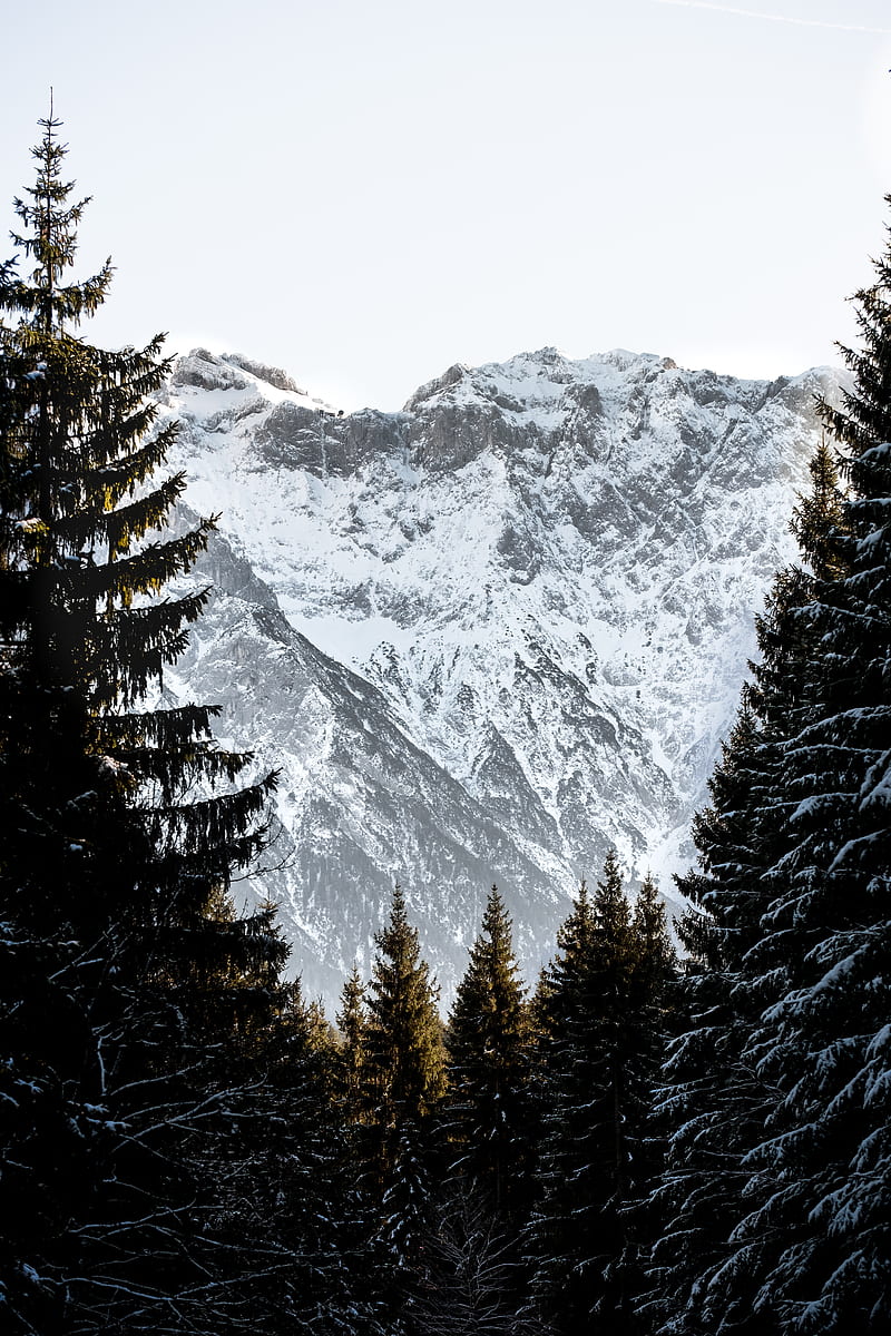 mountains, trees, snow, landscape, winter, HD phone wallpaper