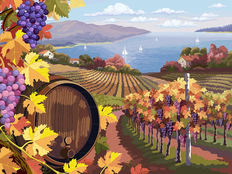 Vineyard, Vector, Grapes, Landscape, Barrel, Bunches, HD wallpaper
