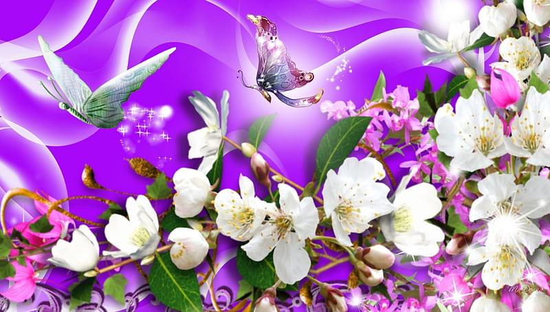 Lovely garden, 44, 05, white, purple, HD wallpaper | Peakpx