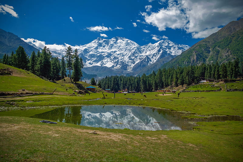 Nanga parbat, fairy meadows, lake, landscape, mountain, nature, pakistan, HD wallpaper