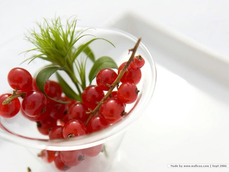 fresh cherries, fruit, red, cherry, bowl, HD wallpaper