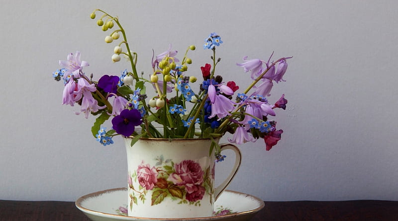 Still Life, cup, petals, bouquet, saucer, HD wallpaper