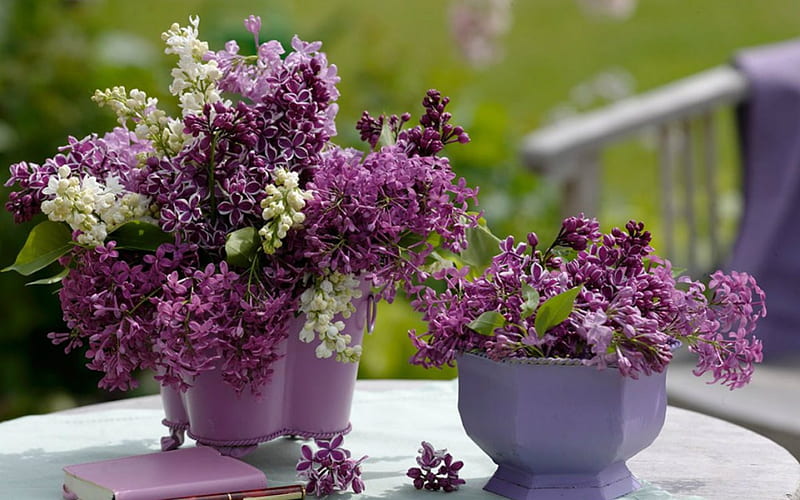 Beautiful Flowers, flowers, pot, purple, ceramic, HD wallpaper