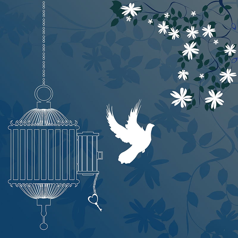 Bird Cage, cage, bird, abstract, blue, HD wallpaper